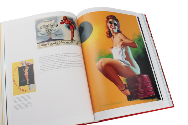 Бумажная книга «The Art of Pin-up», авторов Сараджейн Блум, Луиз Мейсел, Дайан Хэнсон - фото №1