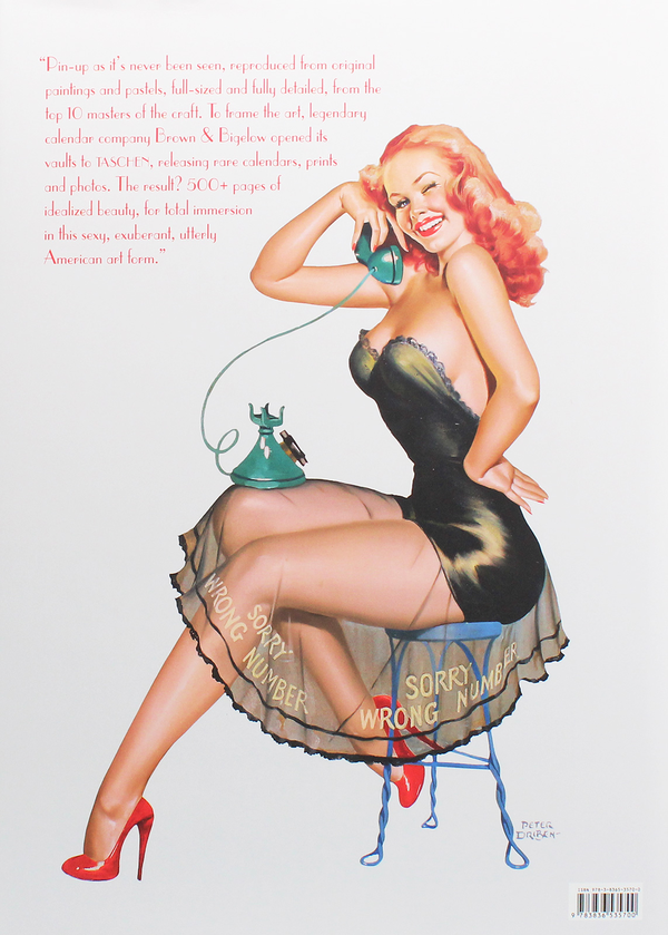 Бумажная книга «The Art of Pin-up», авторов Сараджейн Блум, Луиз Мейсел, Дайан Хэнсон - фото №1