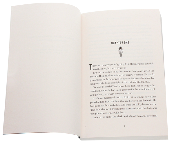 Паперова книга «The Golden Key», автор Меріан Вомек - фото №1