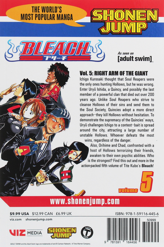 Бумажная книга «Bleach. Volume 5», автор Тайто Кубо - фото №1