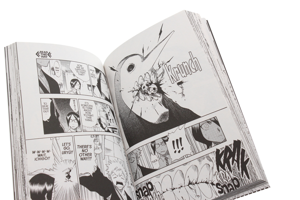Паперова книга «Bleach. Volume 6», автор Тайто Кубо - фото №1