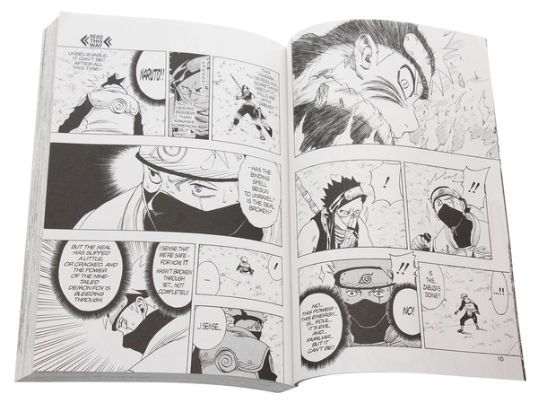 Паперова книга «Naruto. Volume 4», автор Масаси Кісімото - фото №1