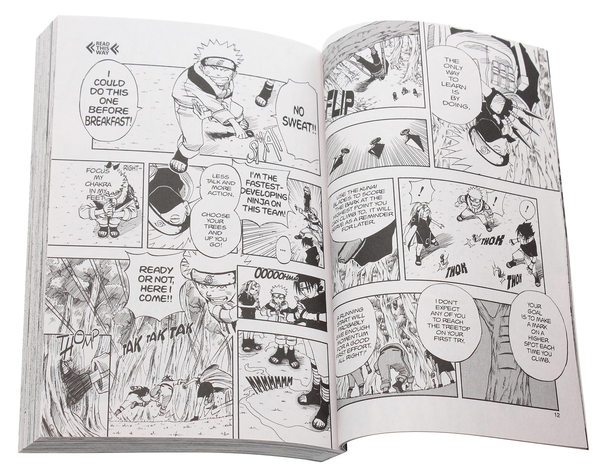 Паперова книга «Naruto. Volume 5», автор Масаси Кісімото - фото №1