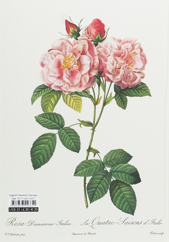 [object Object] «Redoute. Book of Flowers», автор Г. Волтер Лек - фото №2 - мініатюра