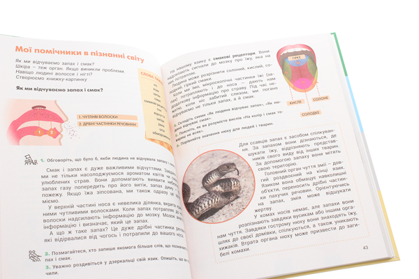 [object Object] «Я досліджую світ. Підручник. 3 клас. У 2 частинах. Частина 1», авторів Оксана Кліщ, Олена Іщенко, Людмила Романенко, Катерина Романенко, Олена Ващенко, Лілія Козак - фото №5 - мініатюра