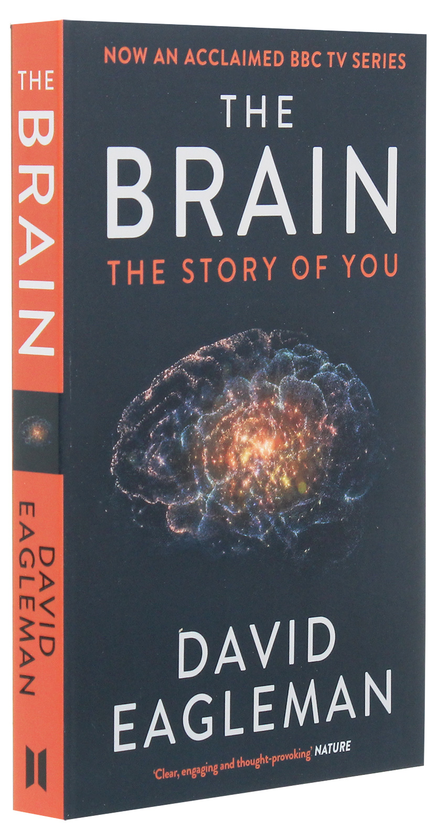 Паперова книга «The Brain. The Story of You», автор Девід Іглмен - фото №1