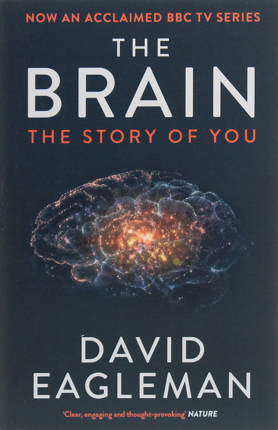 Паперова книга «The Brain. The Story of You», автор Девід Іглмен - фото №1