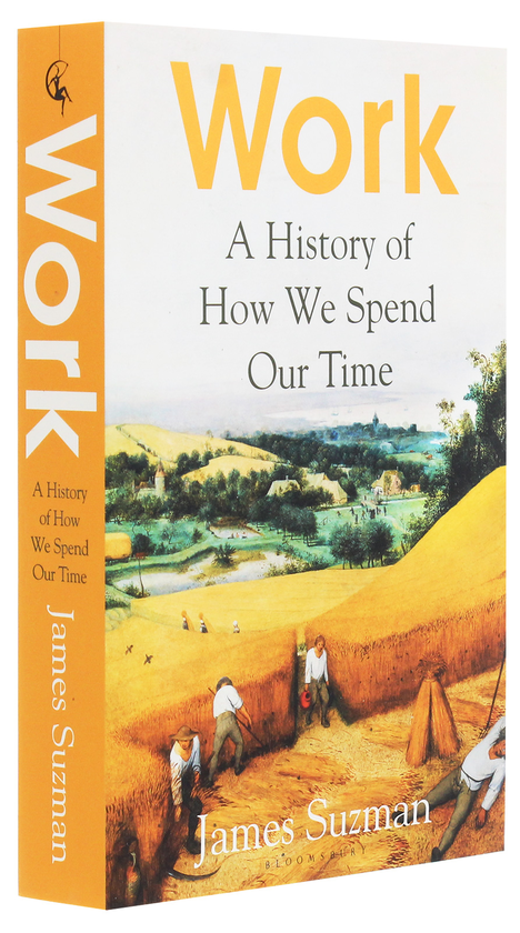 Бумажная книга «Work. A History of How We Spend Our Time», автор Джеймс Сазмэн - фото №1