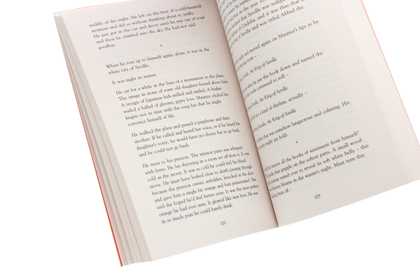 Бумажная книга «Night Boat to Tangier», автор Кевин Барри - фото №1