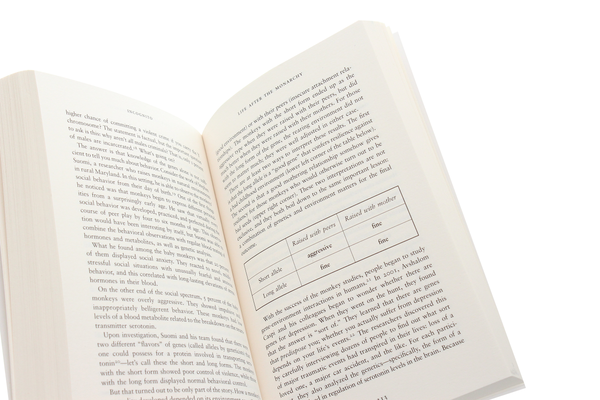 Бумажная книга «Incognito. The Secret Lives of The Brain» - фото №1