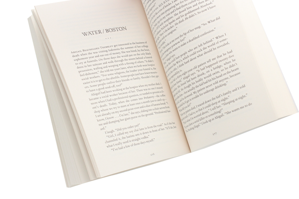 Паперова книга «The Book of Two Ways», автор Джоді Піколт - фото №1