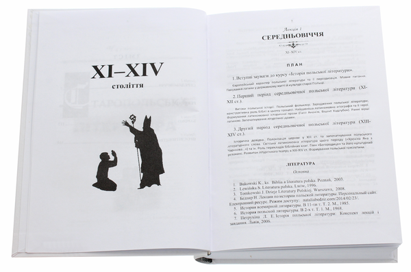 Бумажная книга «Історія польської літератури», авторов С. Абрамович, О. Кеба, Н. Стахнюк - фото №1