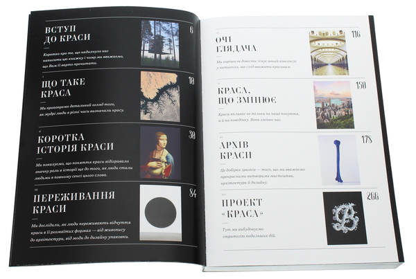 Бумажная книга «Заґмайстер і Волш. Краса», авторов Стефан Загмайстер, Джессика Уолш - фото №1