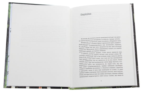Паперова книга «Мансарда», автор Данило Кіш - фото №1