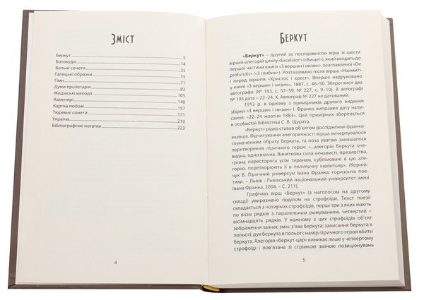 [object Object] «Іван Франко. Вершини і низини. Інтерпретації вибраних віршів, циклів і поем зі збірки «З вершин і низин»», автор Виктор Неборак - фото №4 - миниатюра