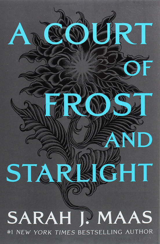 Бумажная книга «A Court of Frost and Starlight», автор Сара Дж. Маас - фото №1