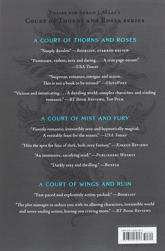 Бумажная книга «A Court of Frost and Starlight», автор Сара Дж. Маас - фото №1