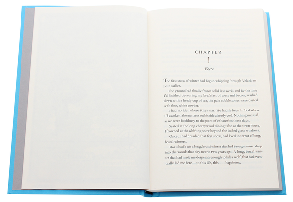 Бумажная книга «A Court of Frost and Starlight», автор Сара Дж. Маас - фото №1