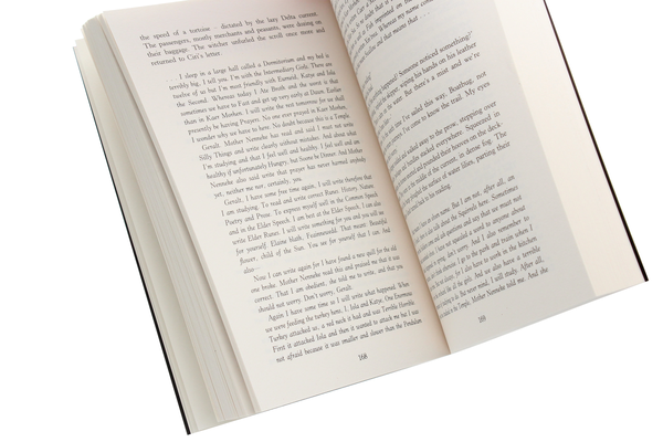 Бумажная книга «The Witcher. Blood of Elves», автор Анджей Сапковский - фото №1