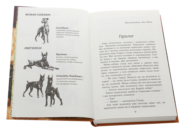 Паперова книга «Зграя. Книга 1. Спорожніле місто», автор Ерін Гантер - фото №1