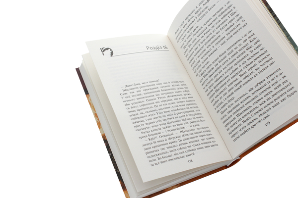 Паперова книга «Зграя. Книга 1. Спорожніле місто», автор Ерін Гантер - фото №1