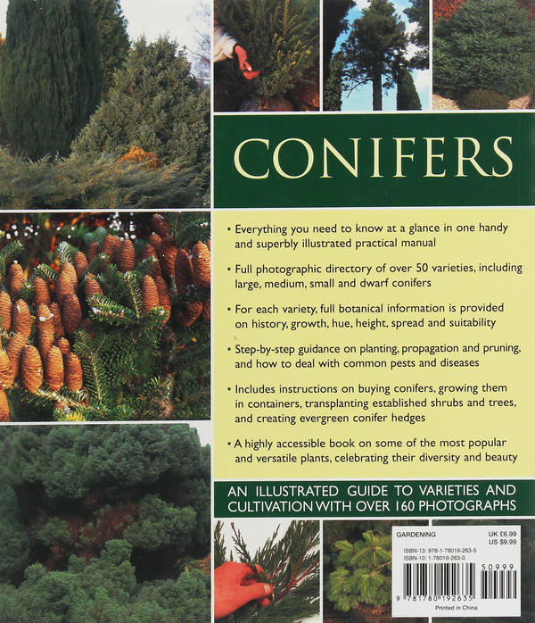 Бумажная книга «Conifers», автор Эндрю Миколайски - фото №1