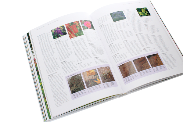 Бумажная книга «Practical Guide to Pruning, Training and Topiary. How to Prune and Train Trees, Shrubs, Hedges, Topiary, Tree and Soft Fruit, Climbers and Roses», автор Ричард Берд - фото №1