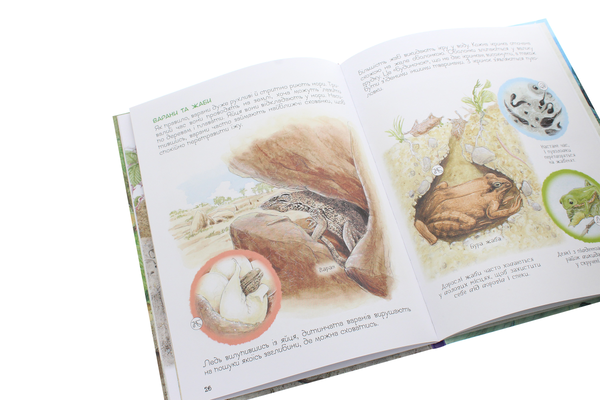 Паперова книга «Дивовижний світ тварин. Хто де живе?» - фото №1