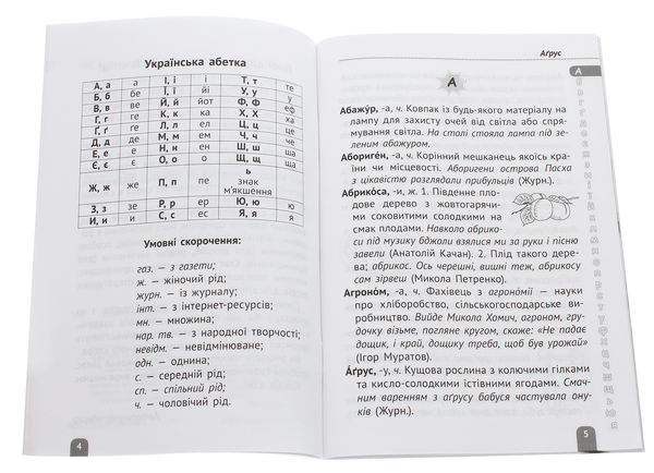 Паперова книга «Тлумачний словник. Початкова школа» - фото №1