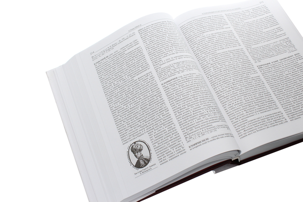 Бумажная книга «Українське козацтво. Мала енциклопедія» - фото №1