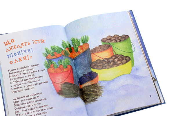 Паперова книга «Таємне життя Святого Миколая», автор Галина Буділова - фото №1