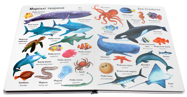 Паперова книга «Перші слова. Тварини + англійська» - фото №1