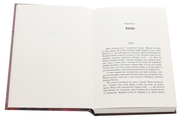 Паперова книга «Раб. Шоша», автор Ісаак Башевіс Зінгер - фото №1