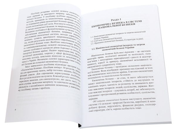 Паперова книга «Економічна безпека», автор Ольга Кібік - фото №1