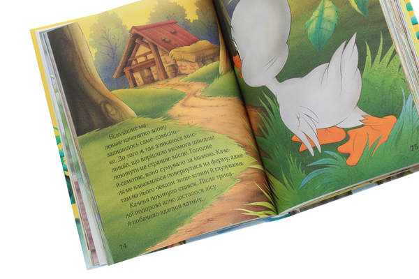 Бумажная книга «Дивовижні казки для мрійників» - фото №1