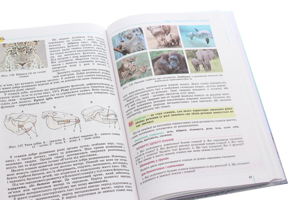 Паперова книга «Біологія. 7 клас», авторів Валентин Серебряков, Павел Балан, Надежда Матяш - фото №1
