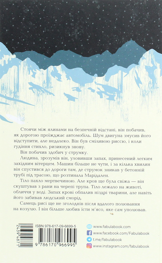 Паперова книга «Могила на двох», автор Анне Хольт - фото №1