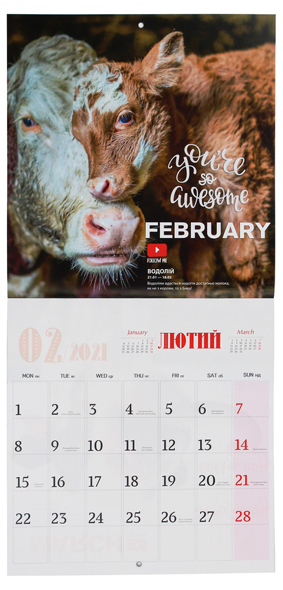 Бумажная книга «Календар на 2021. Свято кожен день. Кумедні бички. Funny bulls» - фото №1