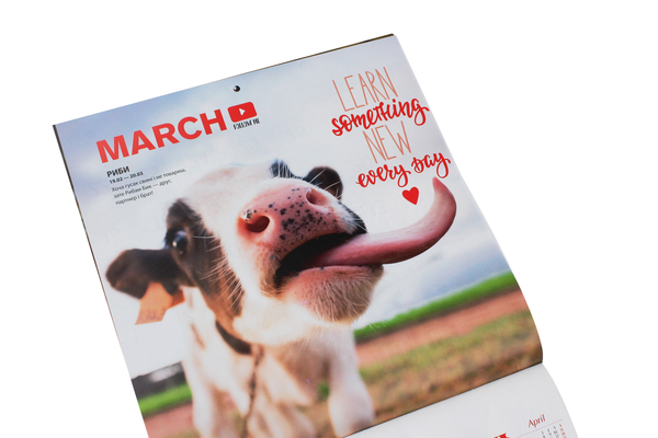 Бумажная книга «Календар на 2021. Свято кожен день. Кумедні бички. Funny bulls» - фото №1