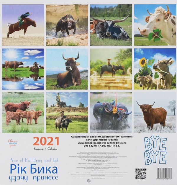 Бумажная книга «Календар на 2021. Свято кожен день. Рік бика удачу принесе!» - фото №1