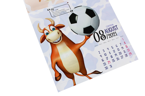 Бумажная книга «Календарь на 2021. Свято кожен день. Рік бика. Funny bulls» - фото №1