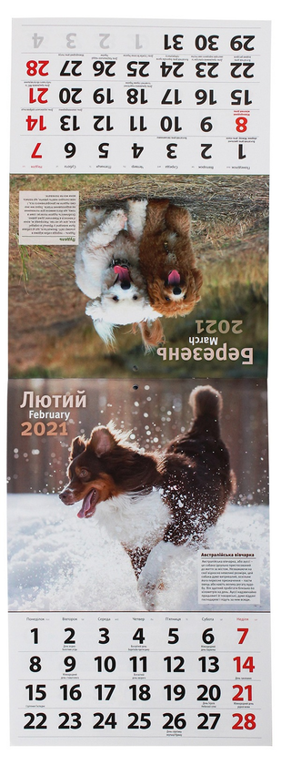 Паперова книга «Календар на 2021. Світовид. Породи собак» - фото №1