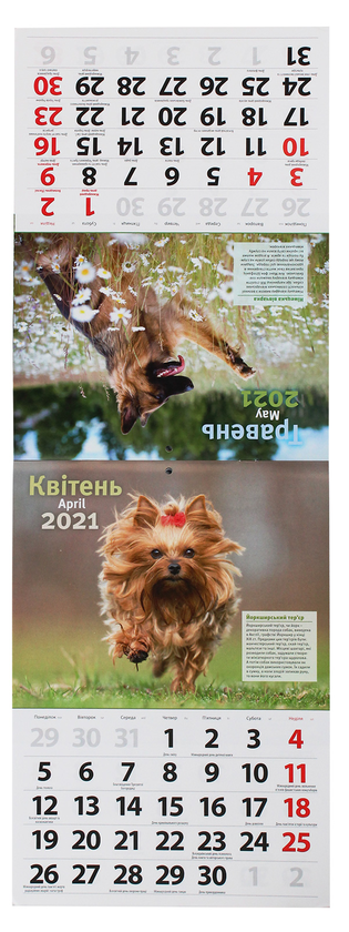 Паперова книга «Календар на 2021. Світовид. Породи собак» - фото №1