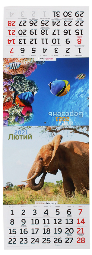 Паперова книга «Календар на 2021. Світовид. Дика природа» - фото №1