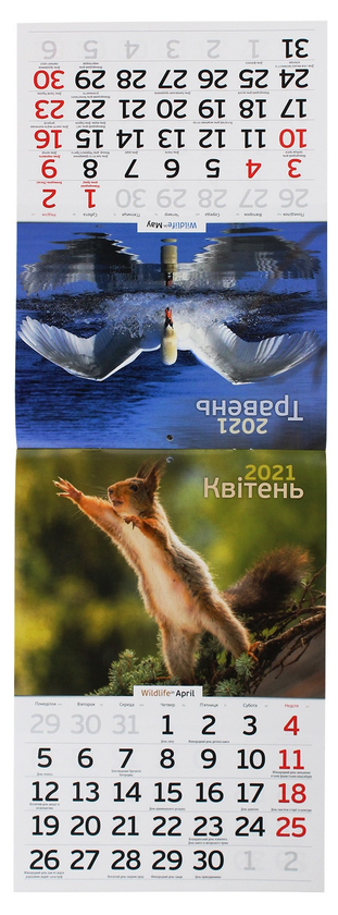 Паперова книга «Календар на 2021. Світовид. Дика природа» - фото №1