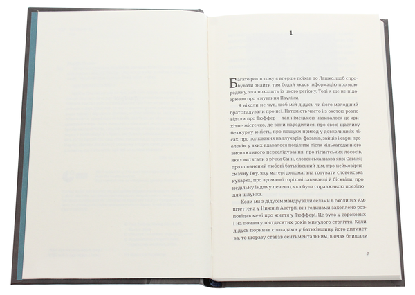 Бумажная книга «Жінка без гробівця. Розповідь про мою тітку», автор Мартин Поллак - фото №1