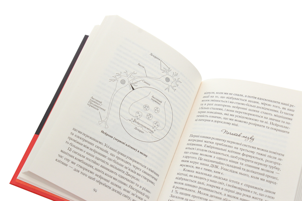 Паперова книга «Джерело. Відкрий свій розум та зміни життя», автор Тара Сворт - фото №1