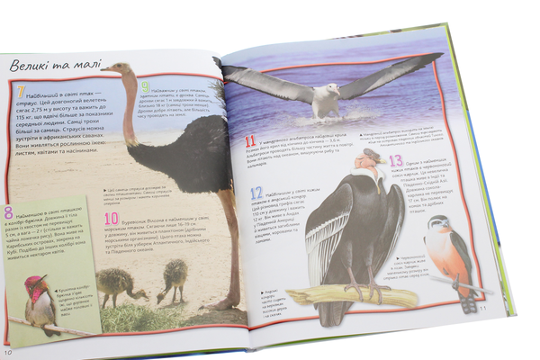 Паперова книга «100 фактів. Птахи», автор Джинні Джонсон - фото №1