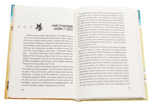 Бумажная книга «Ельф Всемогутній», автор Марцин Палаш - фото №1