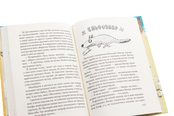 Бумажная книга «Ельф Всемогутній», автор Марцин Палаш - фото №1